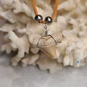 🦈 Shark tooth necklace